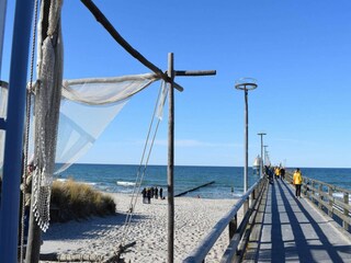 Apartamento Zingst Entorno 21