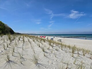 Appartement Zingst Omgeving 16