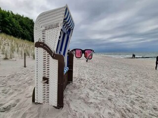 Appartement Zingst Environnement 27