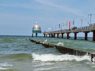 Appartement Zingst Environnement 31