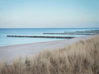 Apartamento Zingst Entorno 19