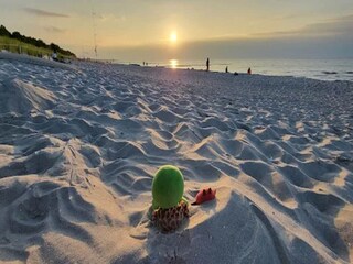 Appartement Zingst Omgeving 23