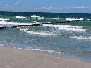 Apartment Zingst Environment 28