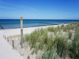 Apartamento Zingst Entorno 21