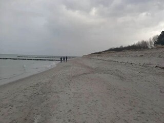 Appartement Zingst Environnement 33