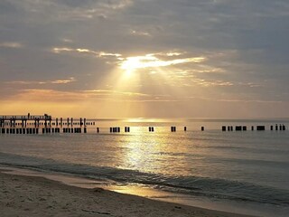 Apartamento Zingst Entorno 31