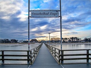 Appartement Zingst Omgeving 15