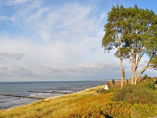 Appartement Zingst Omgeving 13