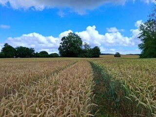 Appartement Putbus Omgeving 36