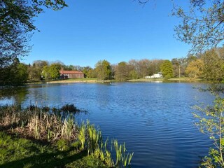 Apartment Putbus Environment 38