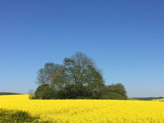 Apartment Putbus Umgebung 34