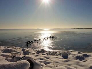 Appartement Putbus Environnement 13