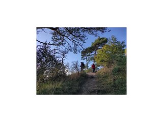 Apartamento Neuendorf (Gnitz) Entorno 30