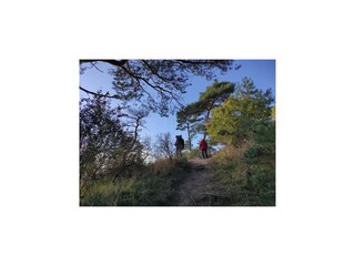 Apartment Neuendorf (Gnitz) Umgebung 20