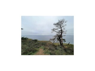 Appartamento Neuendorf (Gnitz) Ambiente 19