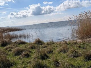 Appartement Neuendorf (Gnitz) Environnement 16