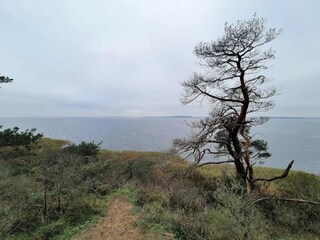 Appartamento Neuendorf (Gnitz) Ambiente 22