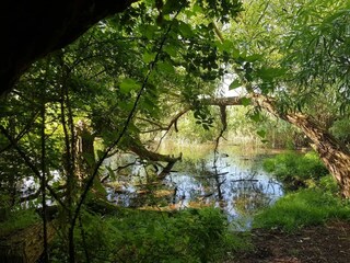 Appartement Neuendorf (Gnitz) Environnement 21