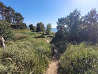 Apartment Neuendorf (Gnitz) Environment 22