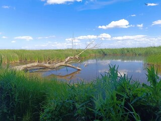 Appartamento Neuendorf (Gnitz) Ambiente 53