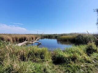 Appartamento Neuendorf (Gnitz) Ambiente 36