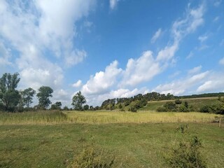 Appartement Neuendorf (Gnitz) Omgeving 19