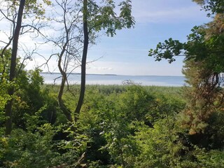 Appartamento Neuendorf (Gnitz) Ambiente 21