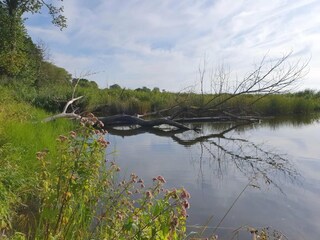 Appartamento Neuendorf (Gnitz) Ambiente 34
