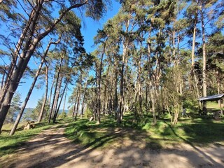 Apartment Neuendorf (Gnitz) Umgebung 33