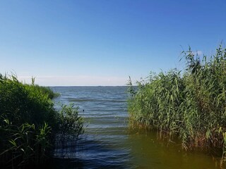 Appartement Neuendorf (Gnitz) Environnement 28