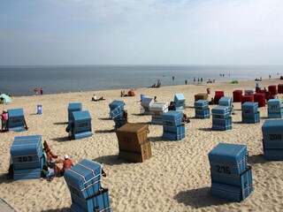 Vakantiehuis Trassenheide Omgeving 44