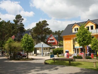 Casa per le vacanze Trassenheide Ambiente 21
