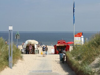 Holiday house Trassenheide Environment 25