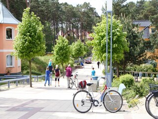 Ferienhaus Trassenheide Umgebung 23