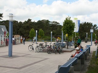 Ferienhaus Trassenheide Umgebung 30