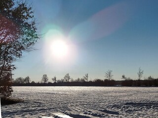 Vakantiehuis Silberstedt Omgeving 19