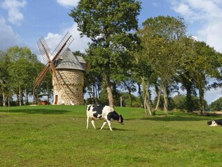 Casa per le vacanze Gommenec'h Registrazione all'aperto 3