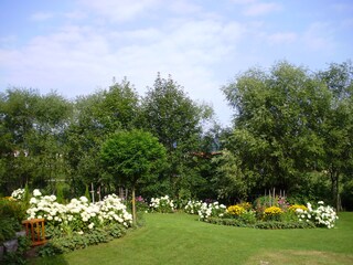 Your guest garden.
