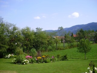 Your guest garden.