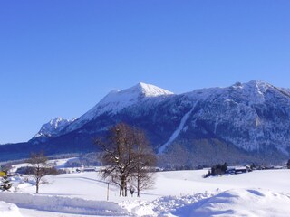 Panoramic view