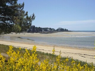 Holiday house Carnac Environment 30