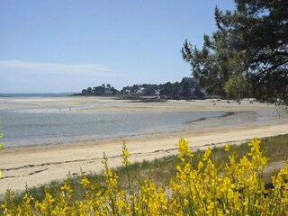 Holiday house Carnac Environment 39