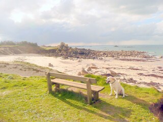 Ferienhaus Plouescat Umgebung 33