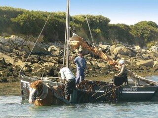 Ferienhaus Saint-Pabu Umgebung 31