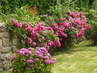 Vakantiehuis Lampaul-Plouarzel Buitenaudio-opname 2