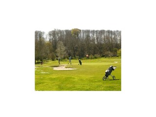 Vakantiehuis Lampaul-Plouarzel Omgeving 22