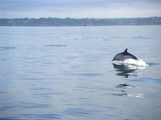 Ferienhaus Lampaul-Plouarzel Umgebung 23