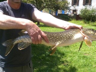 Maison de vacances Plougonven Environnement 19