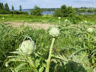 Casa per le vacanze Plougonven Ambiente 21