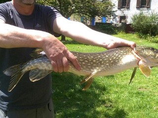 Maison de vacances Plougonven Environnement 21